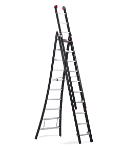 Nevada reformladder